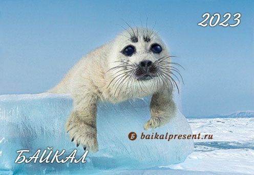 Календарь карманный на 2023 г. "Байкал. Белёк байкальской нерпы" с Байкала