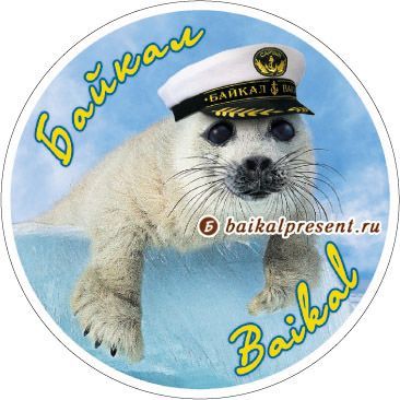 Наклейка круглая 8 см "Байкал. Белёк в капитанке" с Байкала