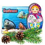 Магнит под смолой