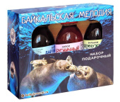 Набор "Байк. мелодия" (2 бальзама и сироп по 100мл.) с Байкала