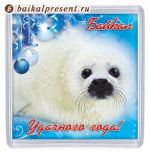 Магнит пластик. кв. "Белёк байкальской нерпы" с Байкала