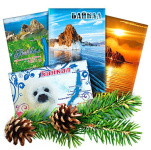 Магнит прямоугольный 54х80 мм