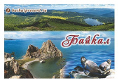 Магнит "Байкал. Коллаж с нерпами" с Байкала