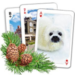 Карты игральные