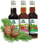 Байкальские сиропы