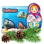 Магнит под смолой