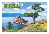 Магнит "Байкал. Мыс Бурхан слева от дерева" с Байкала