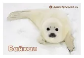 Магнит "Байкал. Белёк" с Байкала