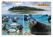 Открытка  "Байкал. Ушканьи острова", 10х15 см с Байкала