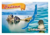 Магнит "Байкал. Мыс Бурхан. Контур озера. Нерпа" с Байкала