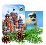 Магнит виниловый