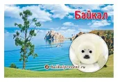Магнит "Байкал. Мыс Бурхан. Белёк" с Байкала