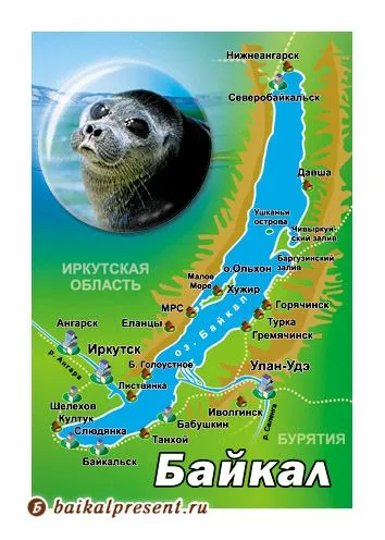 Магнит с линзой "Карта Байкала. Нерпа" с Байкала